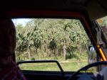 the driver