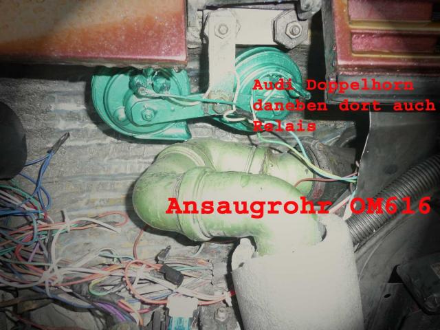 Horn1